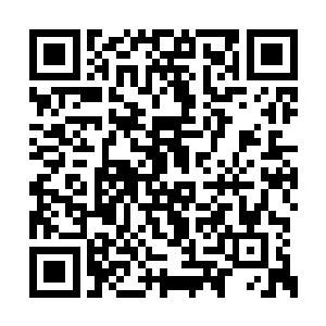 一年轻男子正哼着歌儿拉着琴儿悠然自得的前行二维码生成