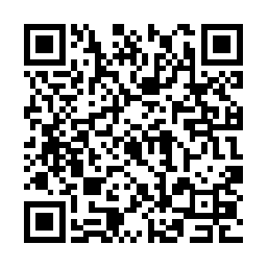 一应事务皆有章素离和夏沧岚两位大长老共同主持二维码生成