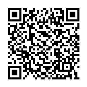 一座座气势恢宏的大殿也是在龙傲天的手中飞出二维码生成