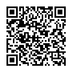 一座座的坐落在雄狮要塞的一片方形的外围区域内二维码生成