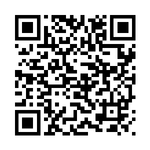 一座建立在树木和云海之上的城市二维码生成