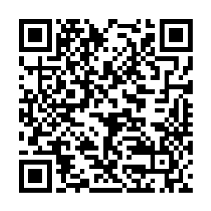 一座无比恐怖的庞然大物出现在了杨戬的视线之中二维码生成