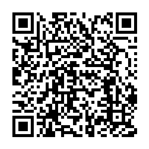 一座更大的国库在擅长土系法术的修士共同努力下在王都拔地而起二维码生成