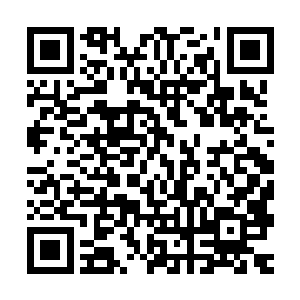 一座气势磅礴的胸围建筑就这么突兀的出现在了林辰的视线当中二维码生成