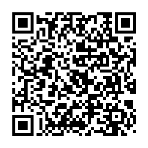 一座犹如大大小小冰笋堆积的一座冰山静静矗立在这平整的冰原上二维码生成