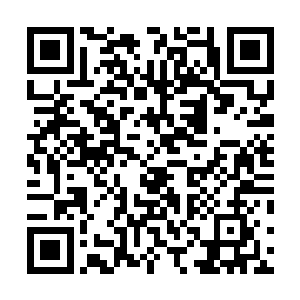 一座通体泛着乳白光芒的七层玉塔呈现在了众人的眼帘中二维码生成