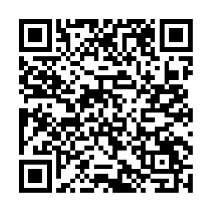 一开始夏侯家是真的不知道幽泉狩猎是嬴家设的陷阱二维码生成