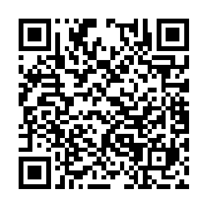 一开始我以为那些永远不会离开的人也一个个离开二维码生成