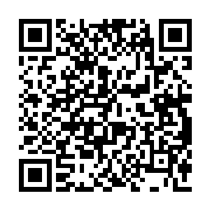 一开始我确实是抱着度情关的目的接近柳清浅的二维码生成