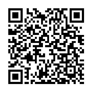 一开始担心的是孩子玩水现在估计担心大毛多过孩子玩水了二维码生成