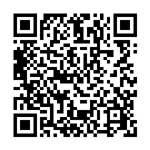 一开始派他们前往不过是想给他们一个考验罢了二维码生成