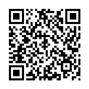 一开始还以为是太子君武暗中进行了游说二维码生成