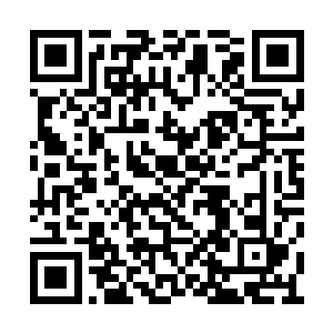 一开始马加特担心这会影响到荣光的备战和状态二维码生成