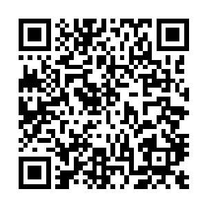 一张一张不厌其烦的看着文件夹里某个小丫头笑靥如花的脸二维码生成