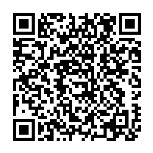 一张俊俏非常却又十分滑稽地沾染着几分被火燎黑的残物的脸出现在众人眼前二维码生成
