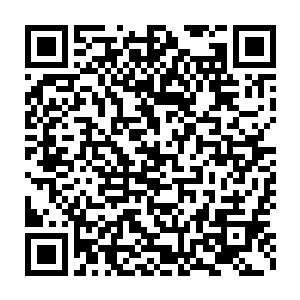 一张巨大的网正由几个黑衣人一人扯着一角在他和燕离的头顶网开二维码生成