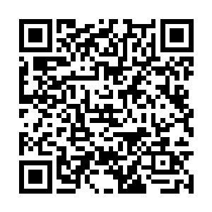 一张张意兴阑珊的面孔让人几乎以为这不是红地毯二维码生成