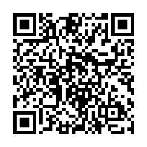 一张清秀的脸因为出色的气质而不觉得她的相貌平常二维码生成