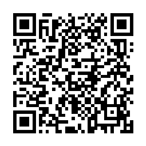 一张白皙如同玉脂般的美艳脸蛋便是出现在叶莫的眼前二维码生成