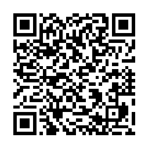 一张紫色的战气之网就带着雷鸣之声出现在风苍梧的前面二维码生成