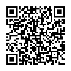 一张绝美的鹅蛋脸在那一刻映入她的脑海里……难道是她……二维码生成