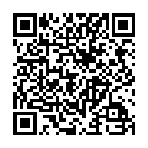 一张美轮美奂的脸庞储藏着一双不同于常人的赤色眼眸二维码生成