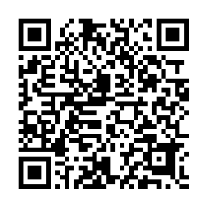 一想到以后会有一个四阶刺客对自己进行无休止的刺杀二维码生成