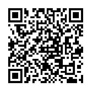 一想到刚刚因为要泡秦嫣然而被林烽狠狠地教训了两脚二维码生成