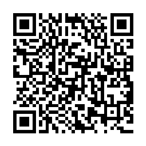 一想到刚才犬鬼吞噬了召唤它出来的那个宗师级高手的那一幕二维码生成