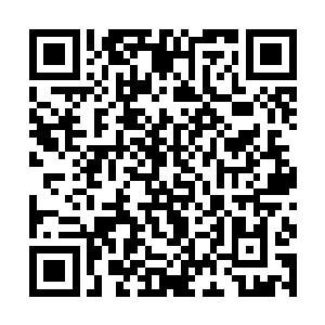 一想到可能会有数以千百计的冥皇出现在这片土地上二维码生成