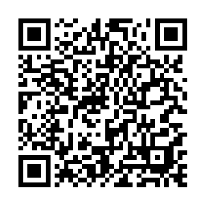 一想到在地球上见过她跟那些堕落贵族在酒吧玩的样子二维码生成