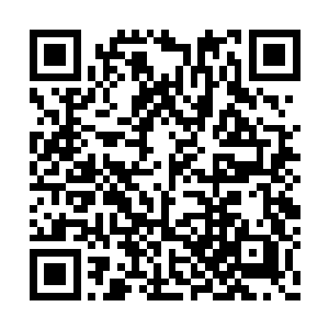 一想到昨天林烽竟然经历了那么危险可怕的事件二维码生成