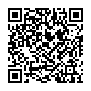 一想到晚上的事情他这心里头就越发的激动起来二维码生成
