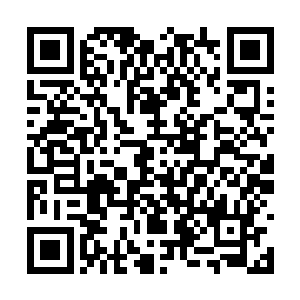 一想到柔柔刚刚竟然就因为那个土包子露出了笑脸二维码生成