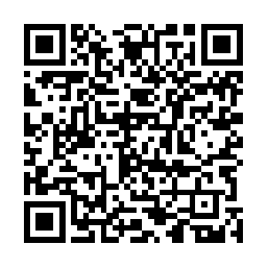 一想到每一个飞升修士的头顶都顶着这么大的压力与担忧二维码生成