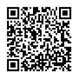 一想到自己的宗门之后也许就会有大乘后期的傀儡守护山门二维码生成