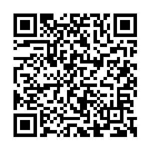 一想到这不大的帐篷里面有可能全是我们的敌人二维码生成