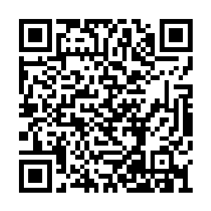 一想起自己刚才大言不惭说他们既是杨开的朋友二维码生成