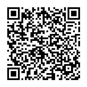 一想起自己的细皮嫩肉也会如那个同伴一样成为尸灵族的果腹之物二维码生成