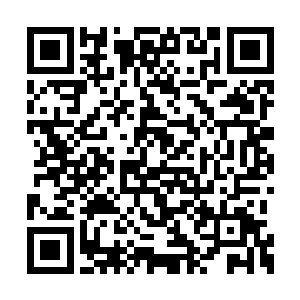 一感应发现已是丝毫感应不到婴灵和六盅的生机二维码生成