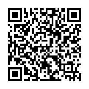 一手一刀一刀有条不紊地从背后割碎寒夫人的底衣二维码生成