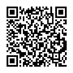 一手飞快的拿出了自己最新入手的限量版ip5手机二维码生成