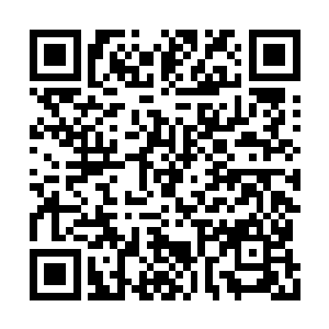 一打开门果然就看到母亲兴高采烈地在准备早餐二维码生成