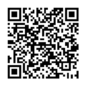 一批兽人族已经变身野兽在大巫的掩护下摸到他们身边二维码生成