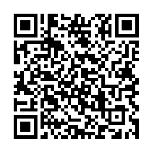 一批则是走到了电话亭旁边五步远之外的一家热狗店二维码生成