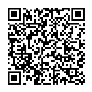 一把带着稚嫩音调的童声咯咯咯笑着跟那条狗一起出现在砖头另一侧二维码生成