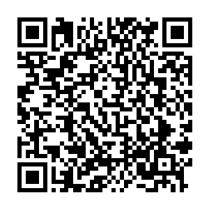 一把抓住又想推开她又舍不得推又顾忌大白天又试图往树丛遮掩的大神二维码生成