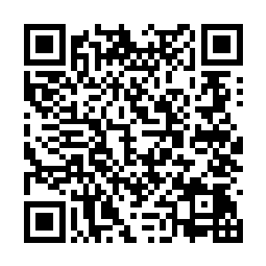 一把无坚不摧的水果刀准确无误的扎进了它的咽喉二维码生成