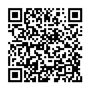 一抹妖冶如血的红色身影倏然从窗户处一跃而进二维码生成