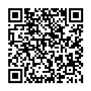 一抹白衣胜雪的男子在那满天绯色中格外的风华飘逸二维码生成